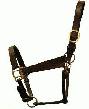 Halters