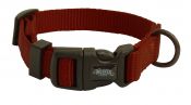 Discontinue/Closeout - Dog Accessories
