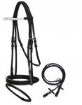 English Headstalls and Halter Bridle Combo