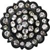 Replacement Screws, Conchos, Silver & Buckles