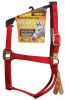 Discontinued/Closeouts - Halters (Nylon, Leather & Show) and Leads