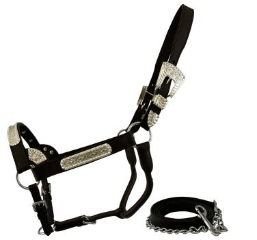 Horse size silver bar show halter with matching lead, Dark Oil