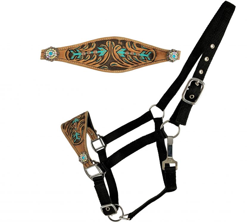 Showman  Adjustable nylon bronc halter with hand painted arrow design nose band on medium leather