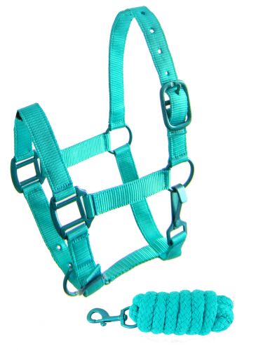 Showman Pony triple ply nylon halter and lead rope with matching powder coated hardware #4