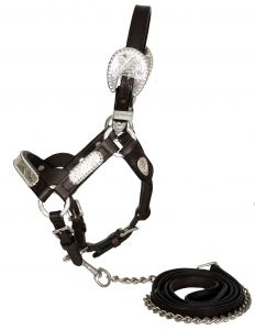 Showman leather mini size engraved silver show halter