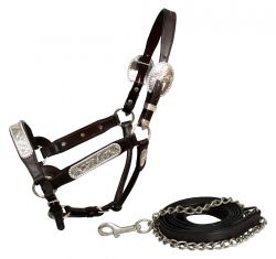 Showman leather horse size engraved silver show halter