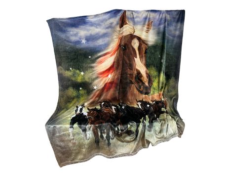 Queen Size Silk Touch Ultra Soft Blanket - Patriotic Stomp #4