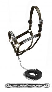 Showman Dark leather show halter with engraved black inlay silver plates and buckles with a daisy flower design