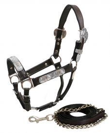 Showman Yearling leather show halter with lead
