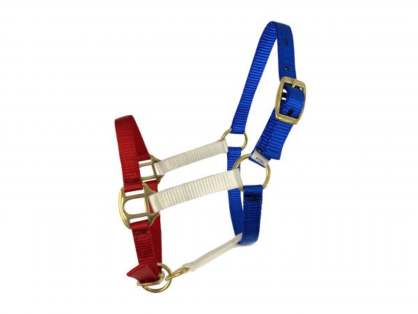 Showman Red, White, and Blue nylon halter with brass hardware. FOAL&#47;MINI SIZE