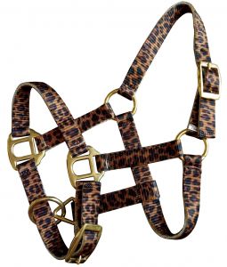 Showman Premium nylon cheetah halter with brass hardware. FOAL/MINI SIZE