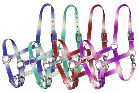 Showman Premium nylon Horse sized ombre halter with nickel plated hardware
