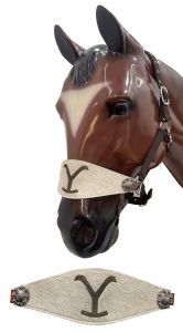 Showman Adjustable nylon bronc halter with Leather Cowhide 'Y' Brand nose