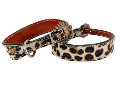 Showman Couture Genuine leather dog collar in leopard print