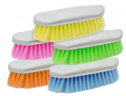 Color pack of 10 stiff bristle brushes. Stiff bristles on an oval base