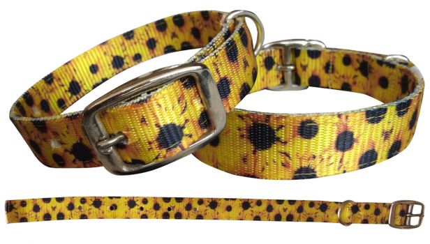 Showman Couture Sunflower designed nylon dog collar