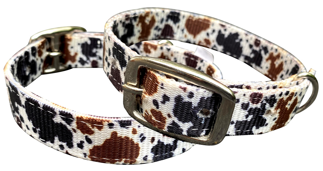 Showman Couture Cow print design nylon dog collar