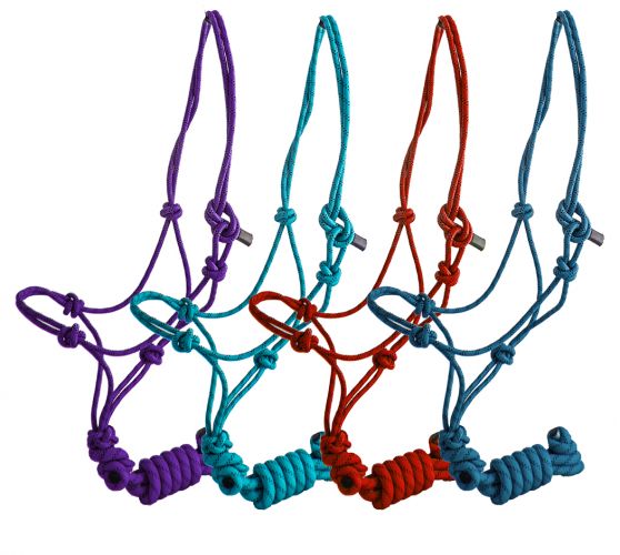 Horse Size Cowboy Knot Halter with Matching 8' Lead