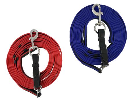 Showman Flat Poly two tone Lunge Line with Removable NP Bolt Snap