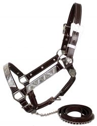 Showman leather double stitched silver bar horse size show halter with matching lead