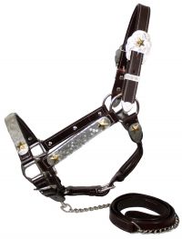 Showman horse size silver and gold star show halter with matching lead