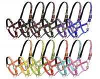 Package of 12 Assorted neoprene lined nylon horse size halters with running horse decal