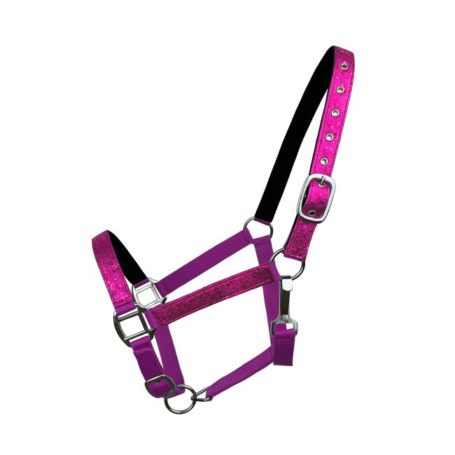 Average Horse Size Nylon Glitter Halter with Neoprene Lined Nose and Crown #5