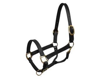 Cob size leather halter with brass hardware #2
