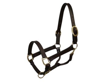 Cob size leather halter with brass hardware #3