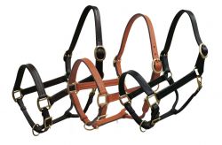 Horse size leather halter with brass hardware. Accented with three rows of stitching