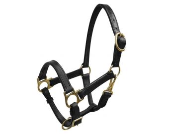 Weanling&#47;Small Pony size leather halter with brass hardware. Comes with double buckles on crown, adjustable nose and throat latch #2