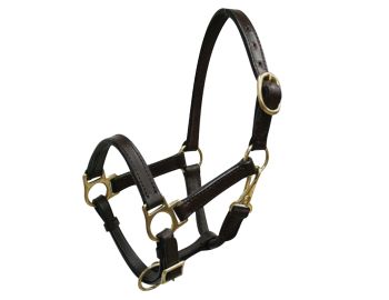 Weanling&#47;Small Pony size leather halter with brass hardware. Comes with double buckles on crown, adjustable nose and throat latch #3