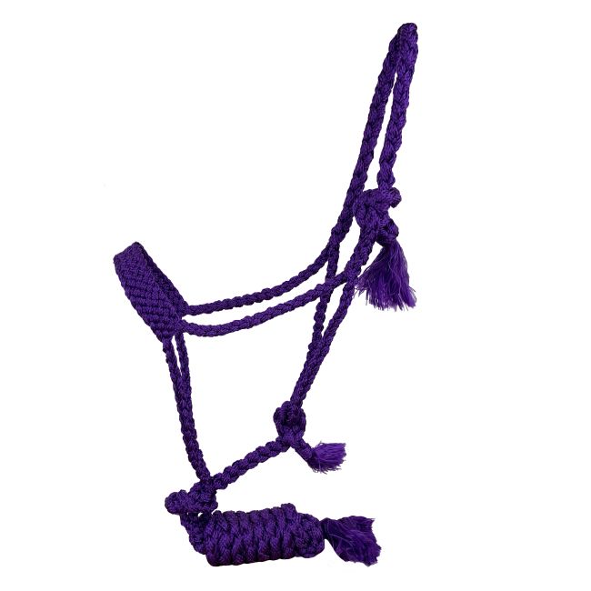 Showman Woven Nylon Muletape Halter with 8ft Removable Lead #4