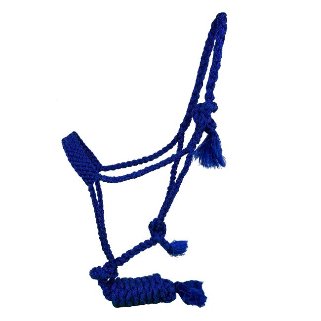 Showman Woven Nylon Muletape Halter with 8ft Removable Lead #5