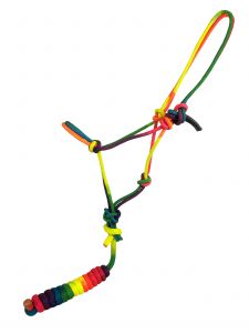 Showman Rainbow colored cowboy knot halter with lead