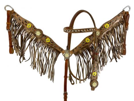 Showman Hand Painted Floral Accent Browband Headstall and Breast collar Set with Fringe