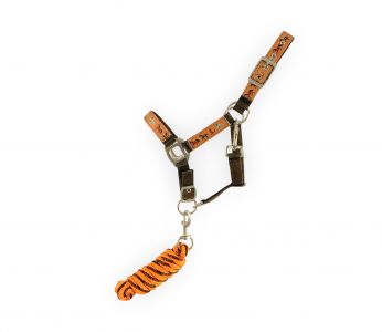 Showman Pony triple ply brown nylon halter with orange running horse overlay & lead rope