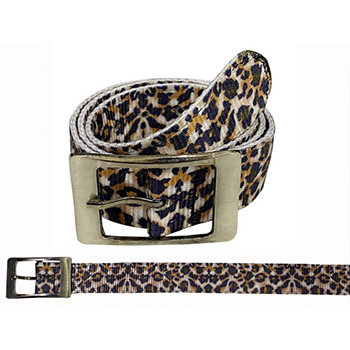 Belts and Buckles