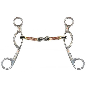 Silver Mounted and Engraved Bits