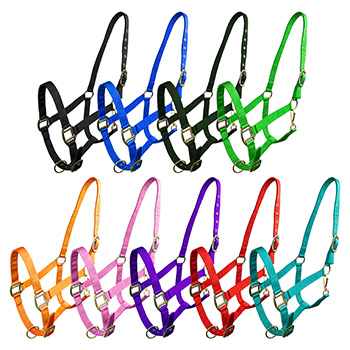 Halters