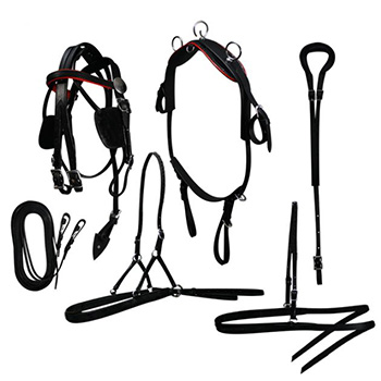 Leather&sol;Show Harness
