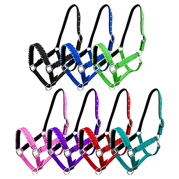 Nylon Full&sol;Average & Draft Halters
