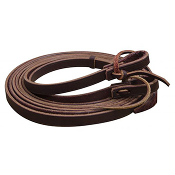 Reins