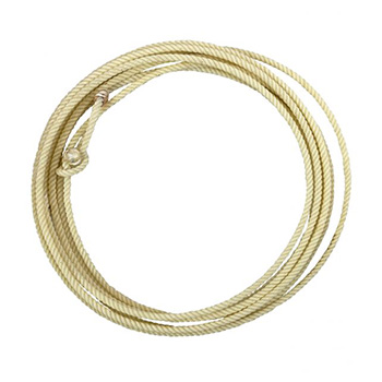 Roping Gear