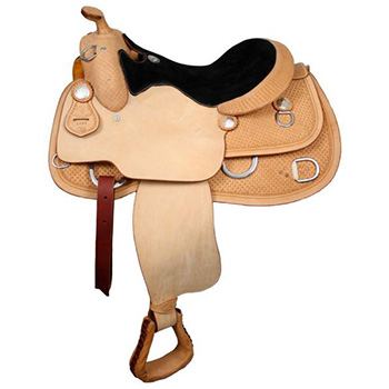 Training Saddles