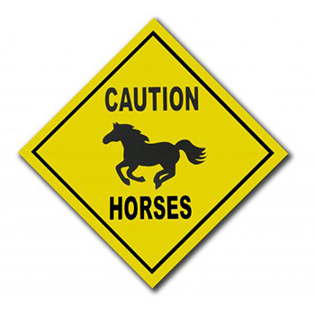 Equestrian Liability Signs & Name Plates