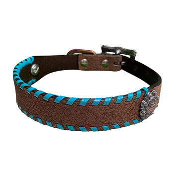 Dog Collars-Leather