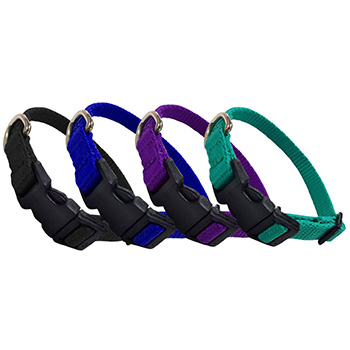 Dog Collars-Nylon