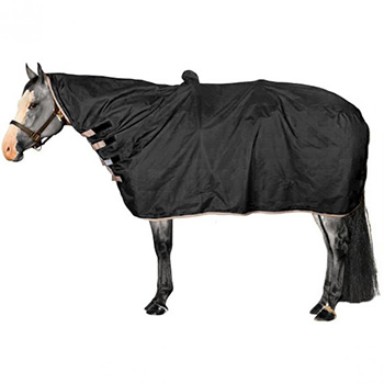 Horse Sheets