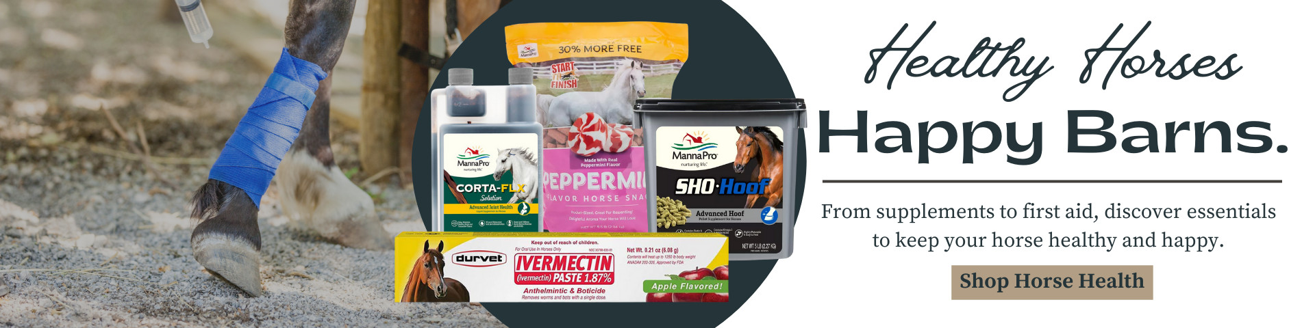 Healthy Horses